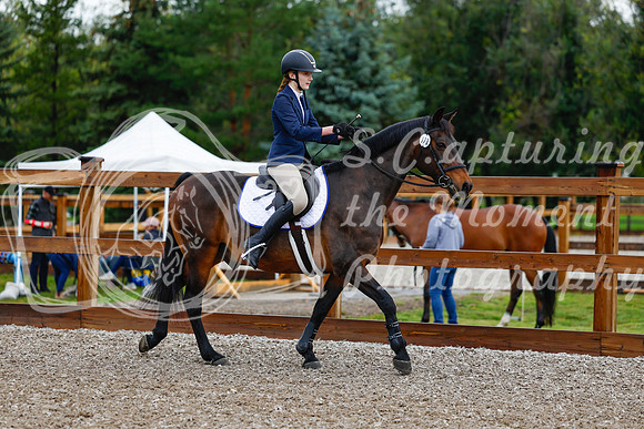 2025 - Haylee - Picco Horse Show - Friay July 25th 00101