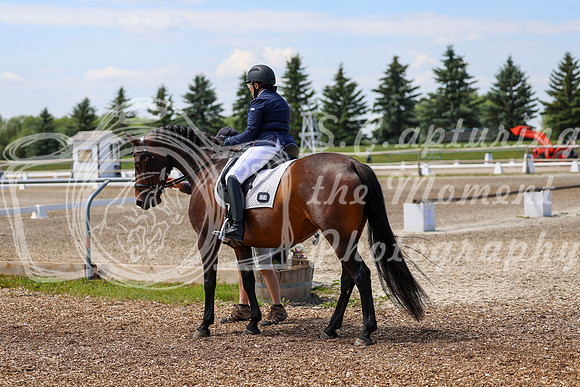2025 - Dressage Festival - Saturday July 5th - 05980