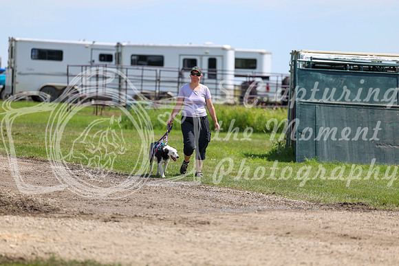 2025 - Shea - Teesdale - Thursday July 24th - 02142