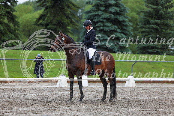2025 - Dressage Festival - Sunday July 6th - 09046