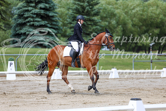 2025 - Dressage Festival - Saturday July 5th - 07369