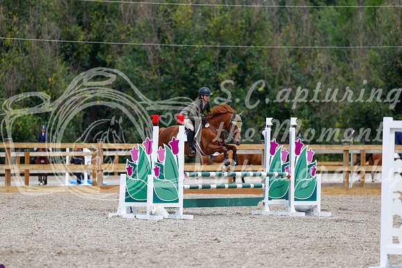 2025 - Haylee - Picco Horse Show - Saturday July 26th 06084