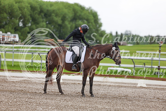 2025 - Dressage Festival - Sunday July 6th - 01772