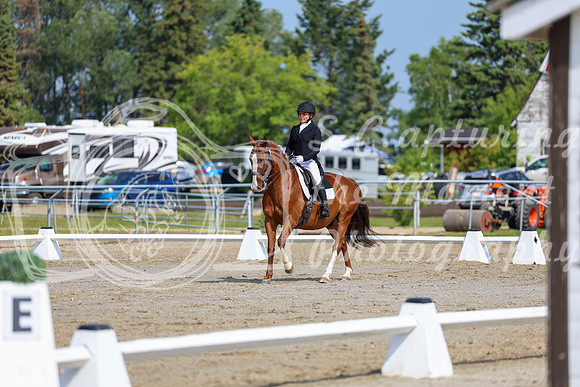 2025 - Dressage Festival - Saturday July 5th - 02597