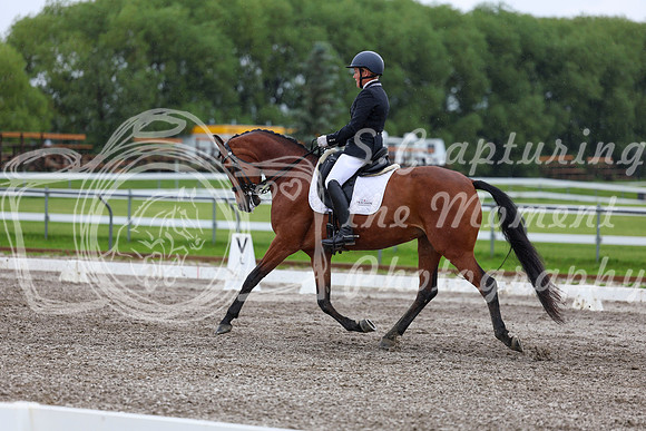 2025 - Dressage Festival - Sunday July 6th - 06579