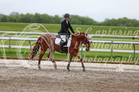 2025 - Dressage Festival - Sunday July 6th - 06166