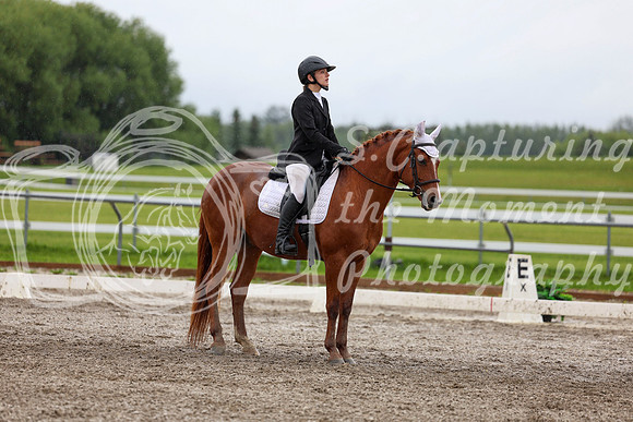 2025 - Dressage Festival - Sunday July 6th - 06096