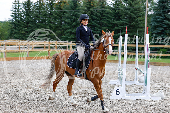 2025 - Haylee - Picco Horse Show - Saturday July 26th 02313