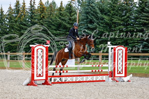 2025 - Haylee - Picco Horse Show - Saturday July 26th 06017