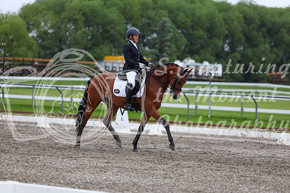 2025 - Dressage Festival - Sunday July 6th - 06520