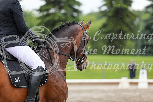 2025 - Dressage Festival - Sunday July 6th - 09011