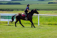 2025 - Shea - Teesdale - Friday July 25th - 05178