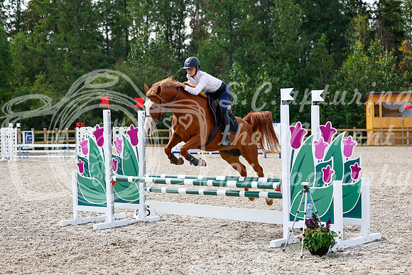 2025 - Haylee - Picco Horse Show - Thursday July 24th 01591