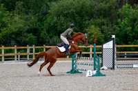 2025 - Haylee - Picco Horse Show - Sunday July 27th 03633