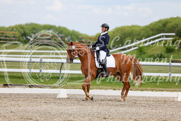 2025 - Dressage Festival - Saturday July 5th - 12487