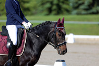 2025 - Dressage Festival - Saturday July 5th - 00659