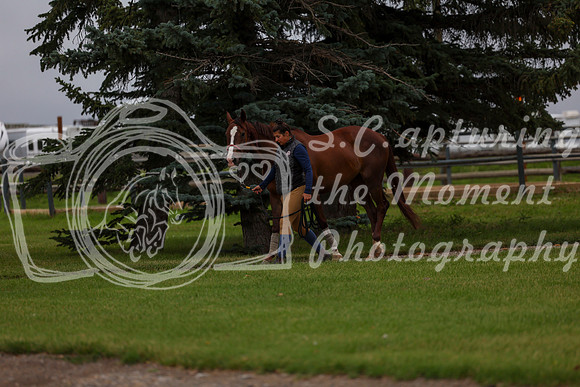 2025 - Shea - Mid Summer Classic II - Thursday July 17th - 00005