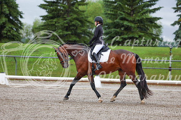 2025 - Dressage Festival - Sunday July 6th - 00845