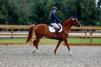 2025 - Haylee - Picco Horse Show - Saturday July 26th 00526