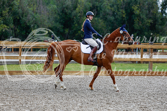 2025 - Haylee - Picco Horse Show - Saturday July 26th 00526
