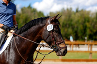 2025 - Haylee - Picco Horse Show - Friay July 25th 05552