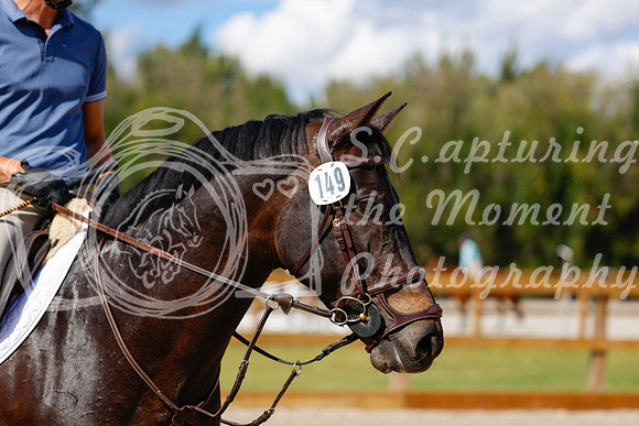 2025 - Haylee - Picco Horse Show - Friay July 25th 05552