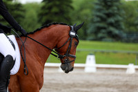 2025 - Dressage Festival - Sunday July 6th - 07229