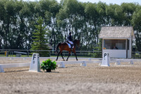 2025 - Dressage Festival - Saturday July 5th - 02357