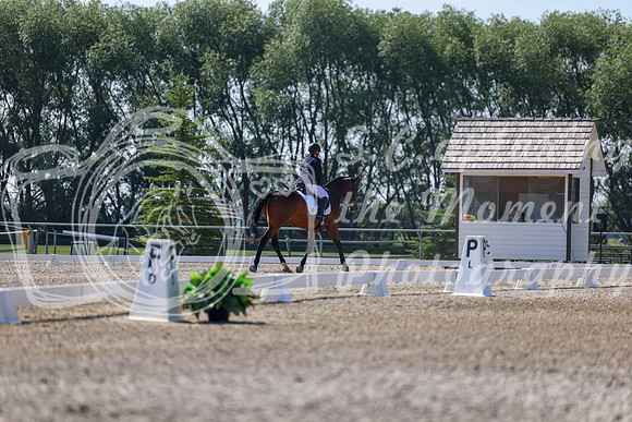 2025 - Dressage Festival - Saturday July 5th - 02357