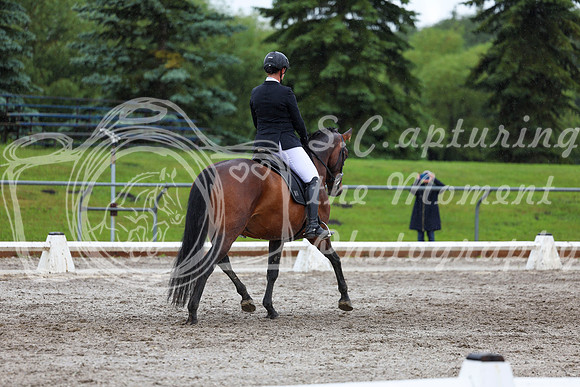 2025 - Dressage Festival - Sunday July 6th - 09064