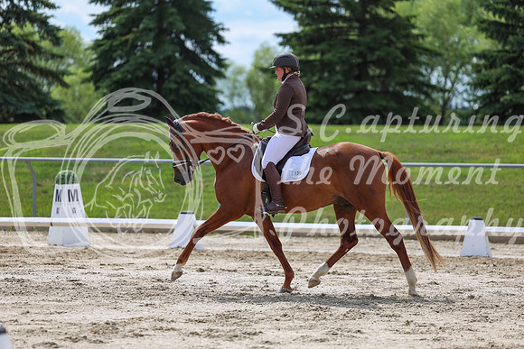 2025 - Dressage Festival - Saturday July 5th - 14160