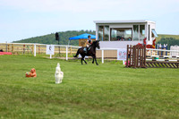2025 - Shea - Teesdale - Thursday July 24th - 03811