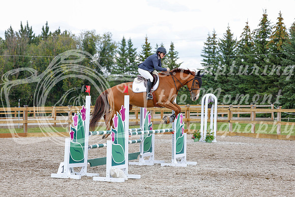2025 - Haylee - Picco Horse Show - Saturday July 26th 07285