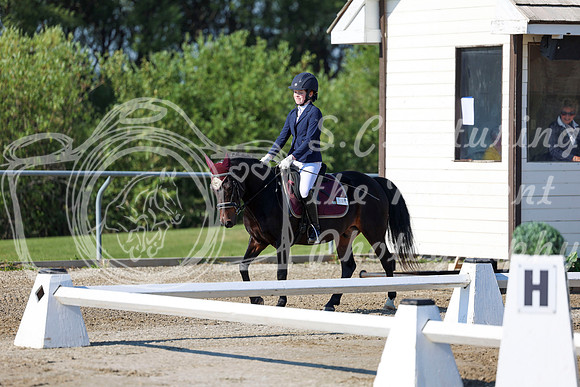 2025 - Dressage Festival - Saturday July 5th - 00648