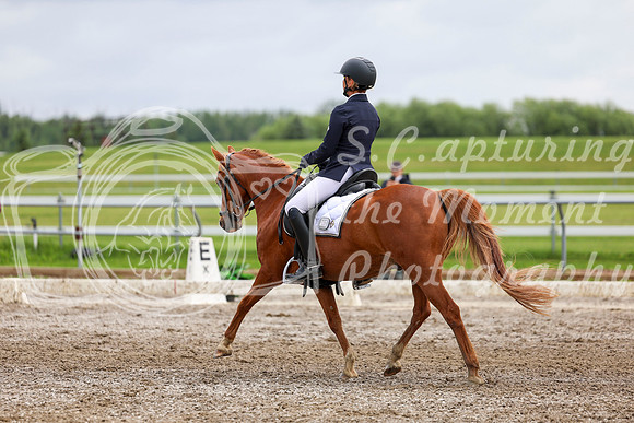 2025 - Dressage Festival - Sunday July 6th - 12327