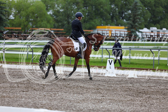 2025 - Dressage Festival - Sunday July 6th - 06695