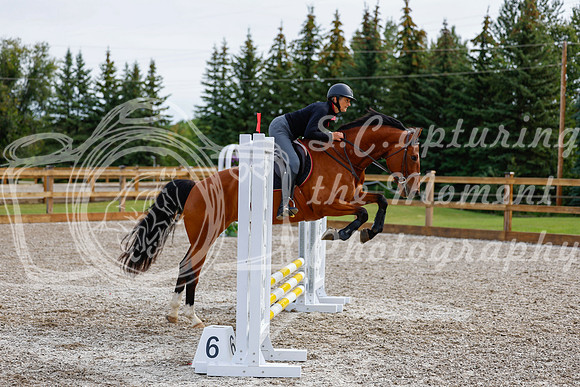 2025 - Haylee - Picco Horse Show - Friay July 25th 00626