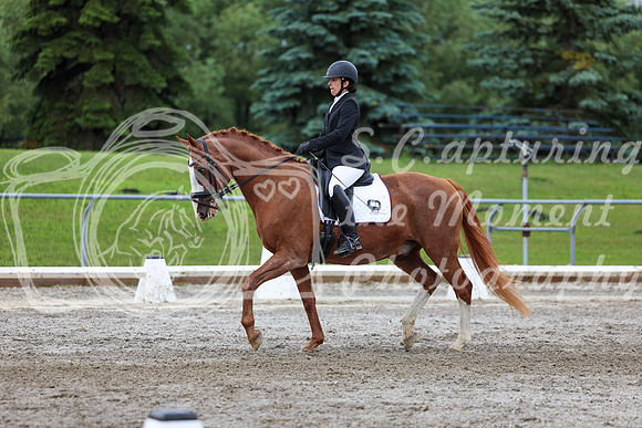 2025 - Dressage Festival - Sunday July 6th - 10404