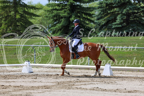 2025 - Dressage Festival - Saturday July 5th - 07991