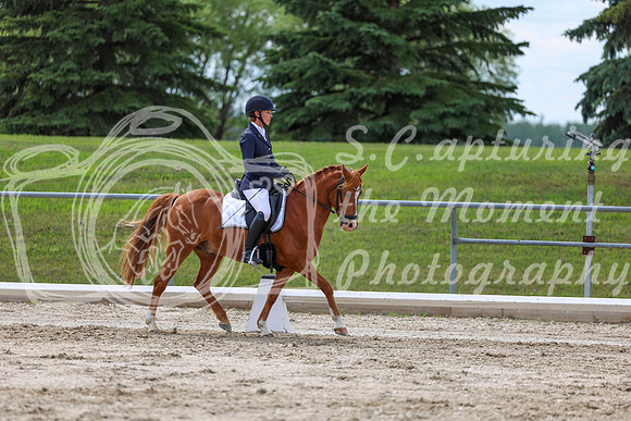 2025 - Dressage Festival - Saturday July 5th - 13806