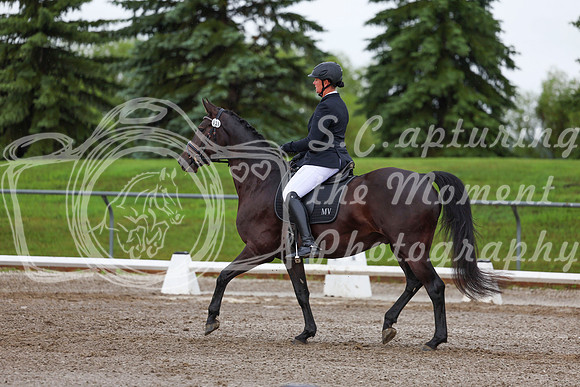2025 - Dressage Festival - Sunday July 6th - 01903