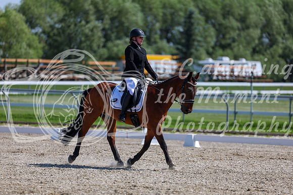 2025 - Dressage Festival - Saturday July 5th - 05160