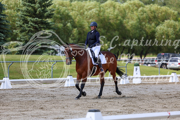 2025 - Dressage Festival - Saturday July 5th - 09716