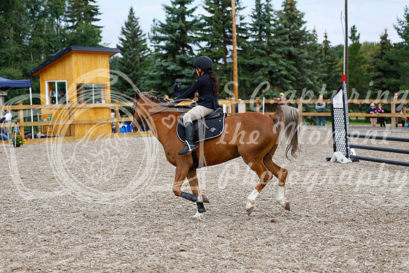 2025 - Haylee - Picco Horse Show - Saturday July 26th 02391