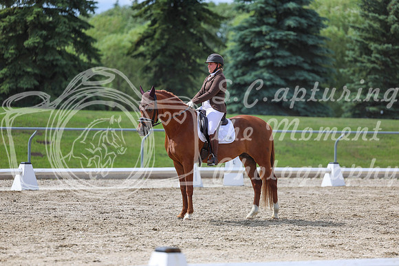 2025 - Dressage Festival - Saturday July 5th - 14143