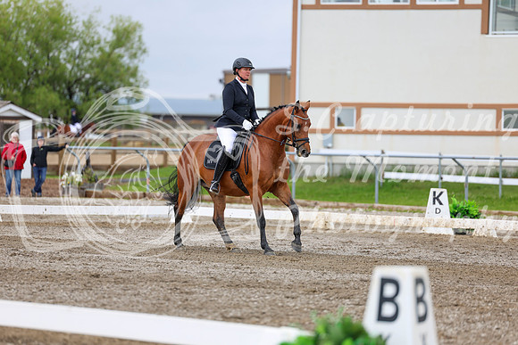2025 - Dressage Festival - Sunday July 6th - 11697