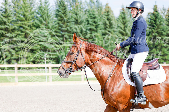 2025 - Haylee - Picco Horse Show - Saturday July 26th 08451