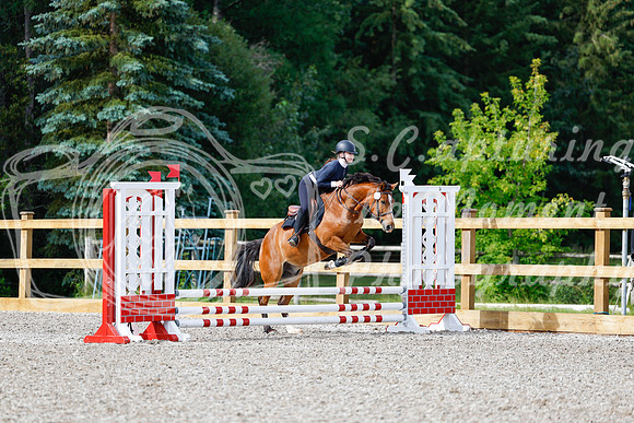 2025 - Haylee - Picco Horse Show - Friay July 25th 00655