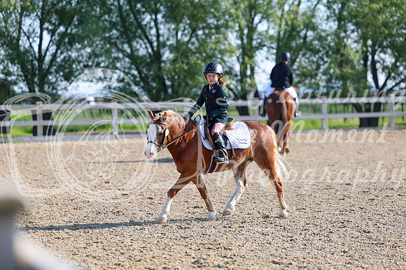 2025 - Dressage Festival - Saturday July 5th - 00004