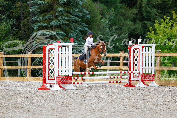 2025 - Haylee - Picco Horse Show - Friay July 25th 01316